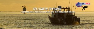 Quintrex Yellowfin Boats